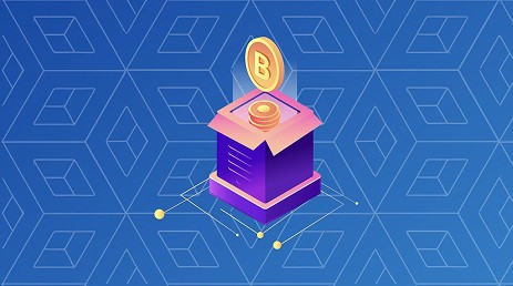 Hire Token Developers